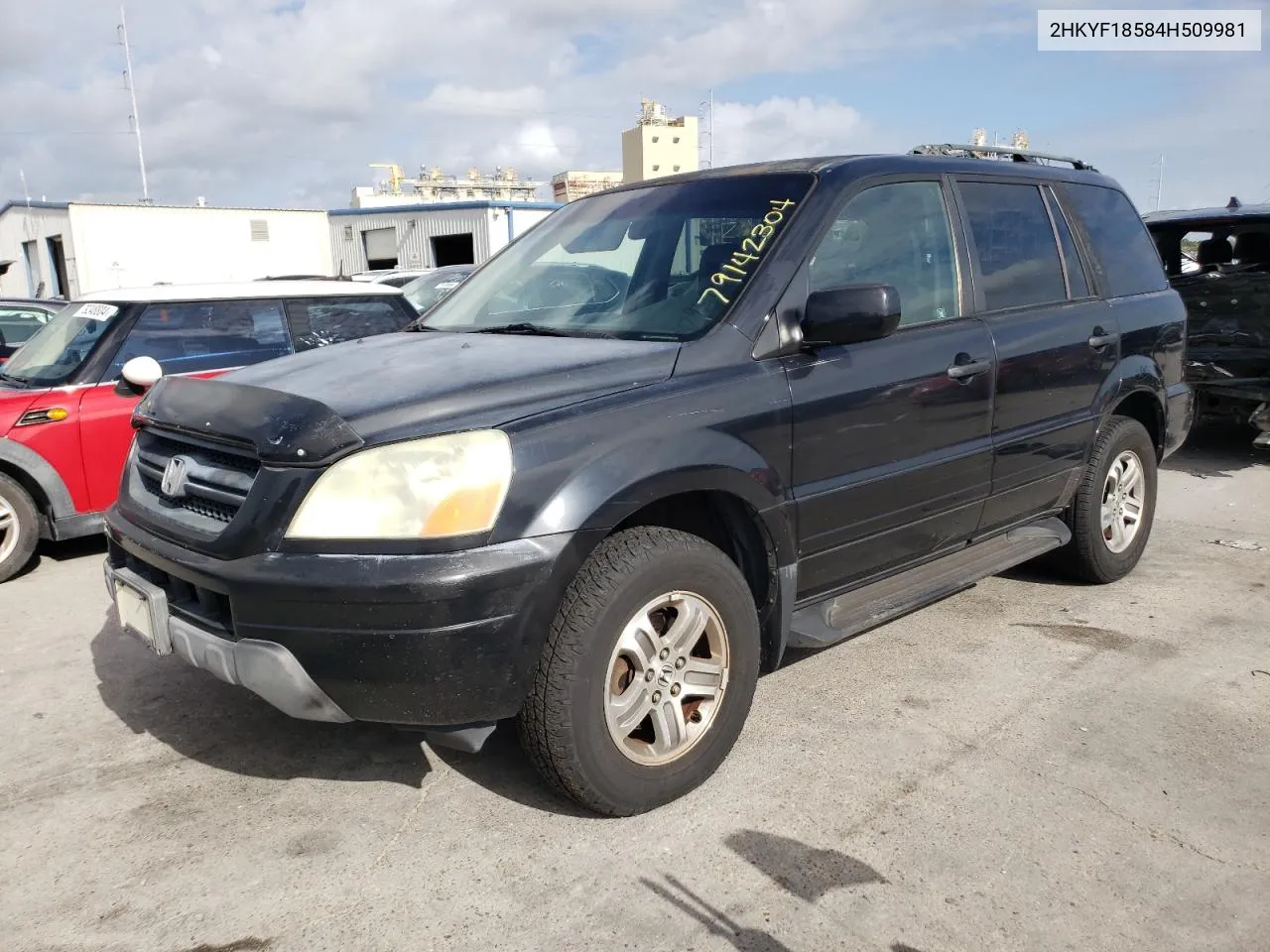 2004 Honda Pilot Exl VIN: 2HKYF18584H509981 Lot: 79142304