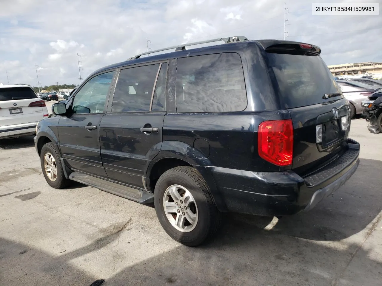 2004 Honda Pilot Exl VIN: 2HKYF18584H509981 Lot: 79142304