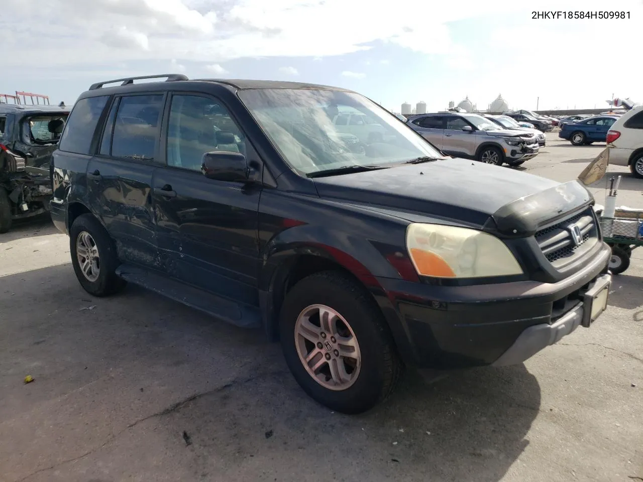 2004 Honda Pilot Exl VIN: 2HKYF18584H509981 Lot: 79142304