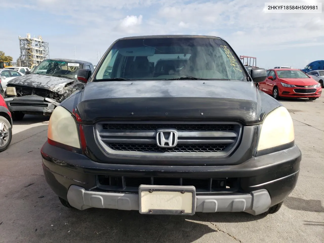 2004 Honda Pilot Exl VIN: 2HKYF18584H509981 Lot: 79142304