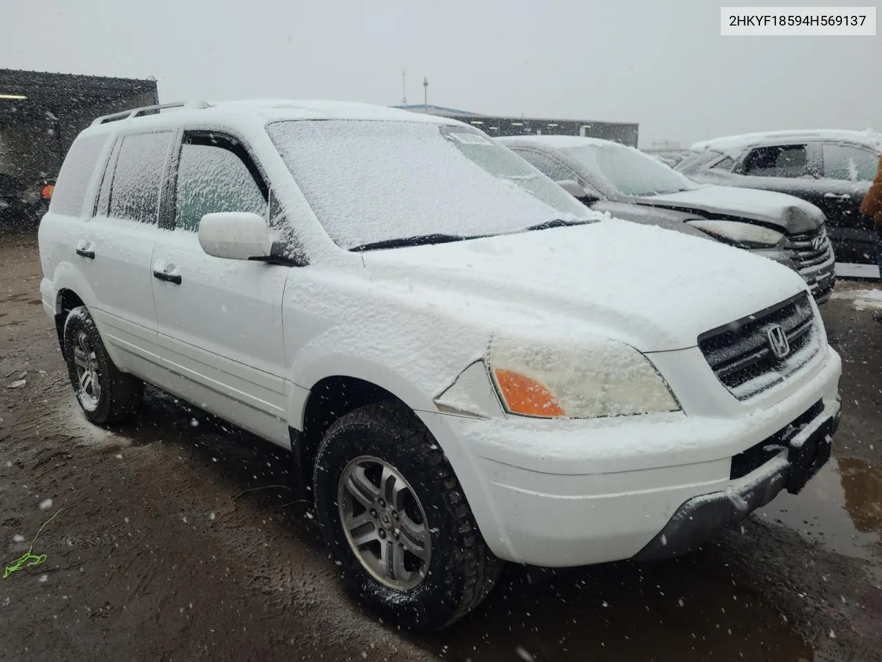 2004 Honda Pilot Exl VIN: 2HKYF18594H569137 Lot: 79870834