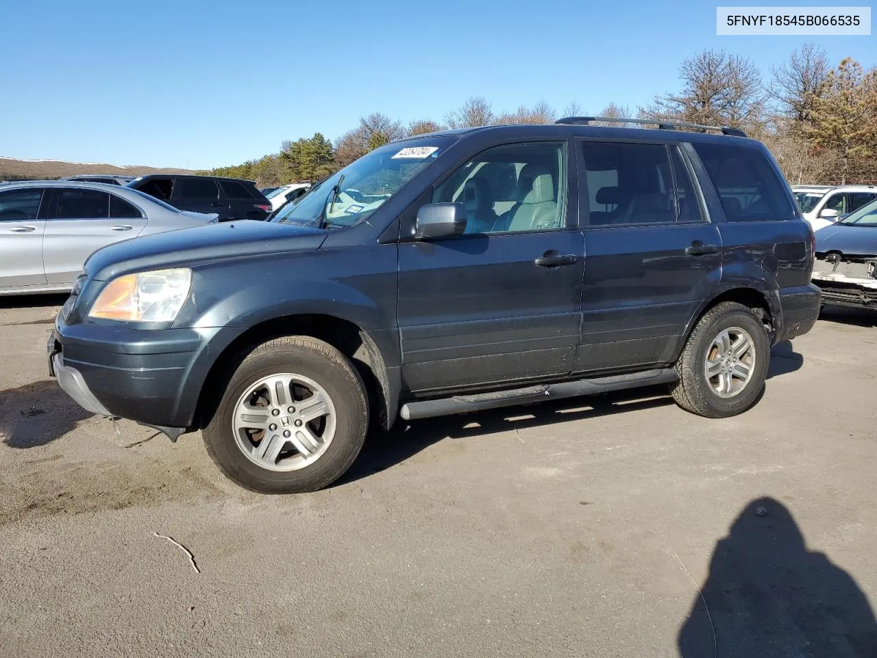 2005 Honda Pilot Exl VIN: 5FNYF18545B066535 Lot: 43264704