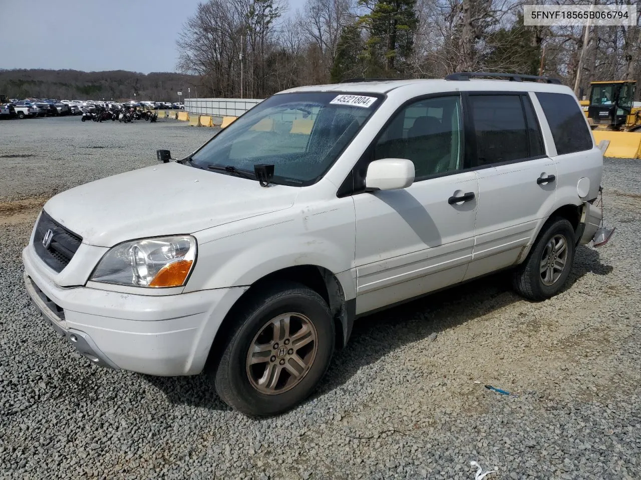 2005 Honda Pilot Exl VIN: 5FNYF18565B066794 Lot: 59880774