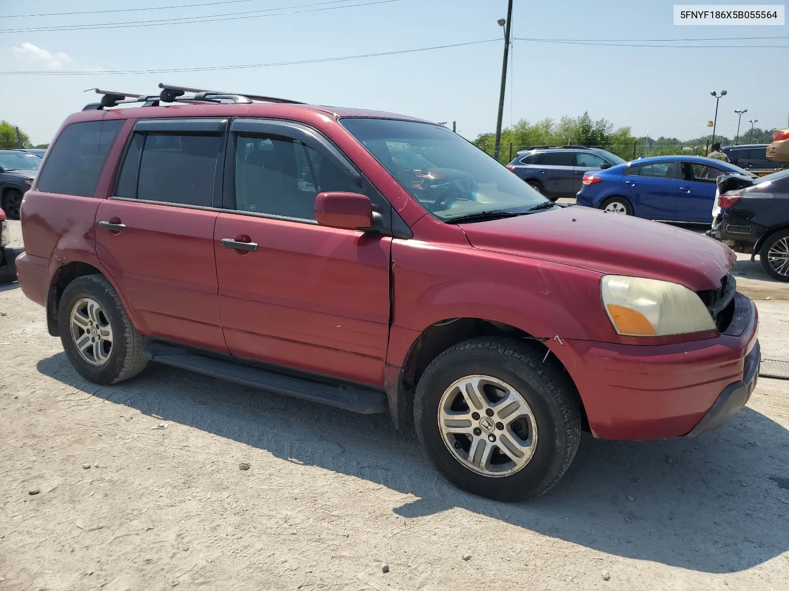 2005 Honda Pilot Exl VIN: 5FNYF186X5B055564 Lot: 66206084