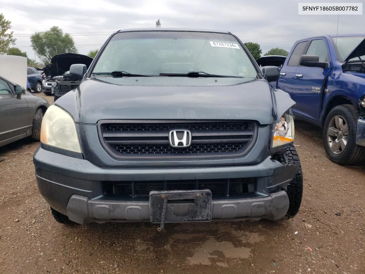 2005 Honda Pilot Exl VIN: 5FNYF18605B007782 Lot: 67267234