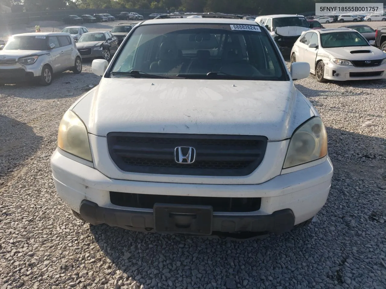 2005 Honda Pilot Exl VIN: 5FNYF18555B001757 Lot: 68882624