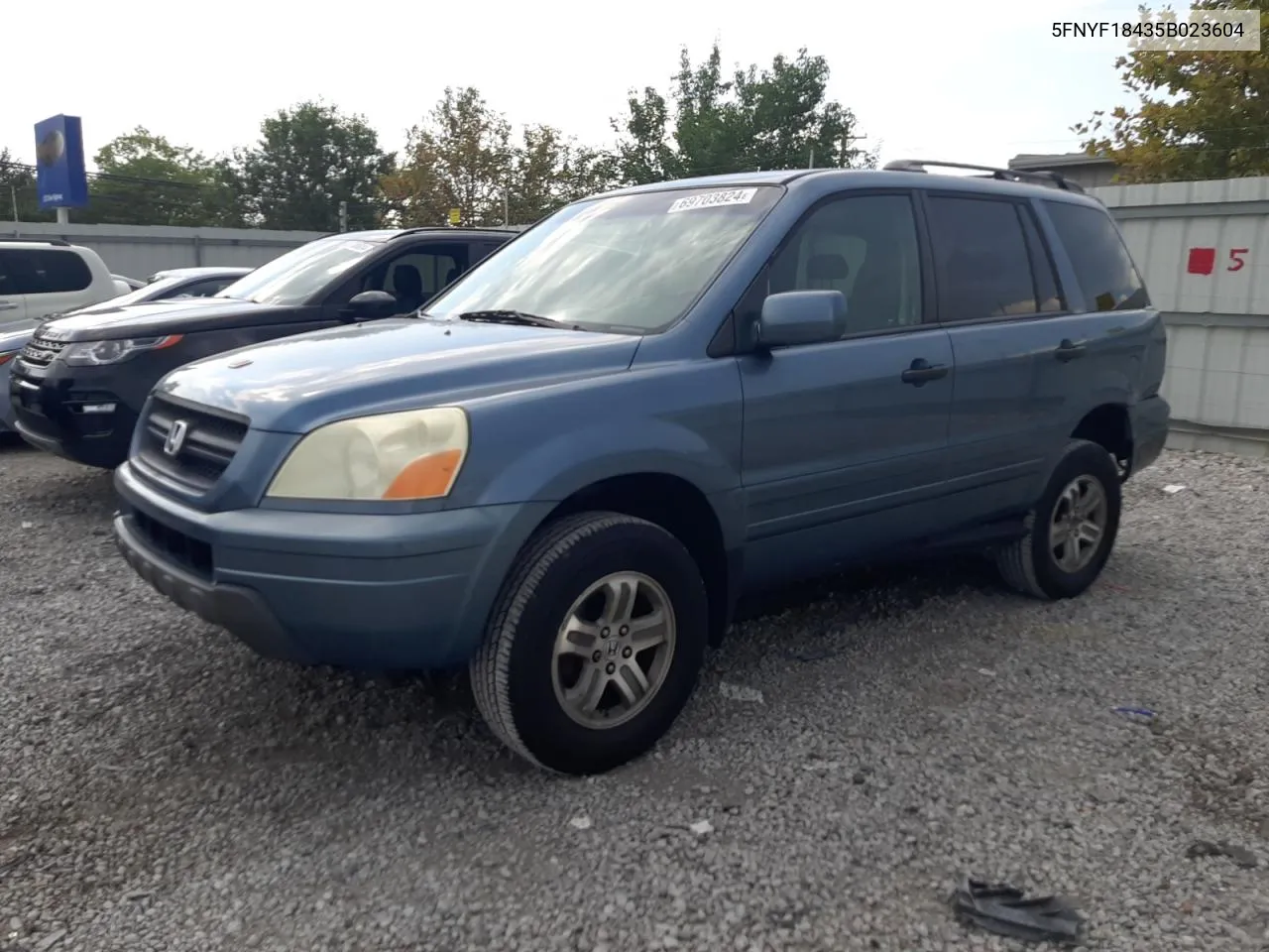 2005 Honda Pilot Ex VIN: 5FNYF18435B023604 Lot: 69703824