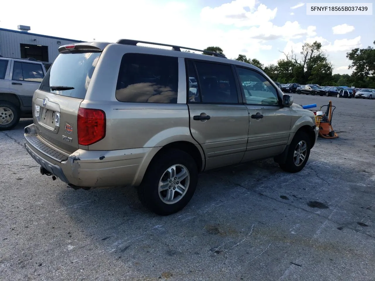 2005 Honda Pilot Exl VIN: 5FNYF18565B037439 Lot: 70490374