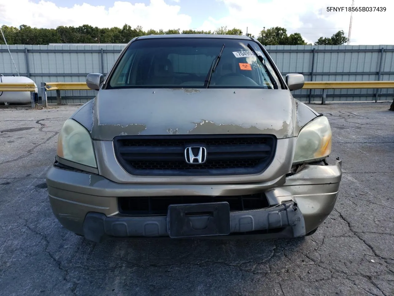 2005 Honda Pilot Exl VIN: 5FNYF18565B037439 Lot: 70490374