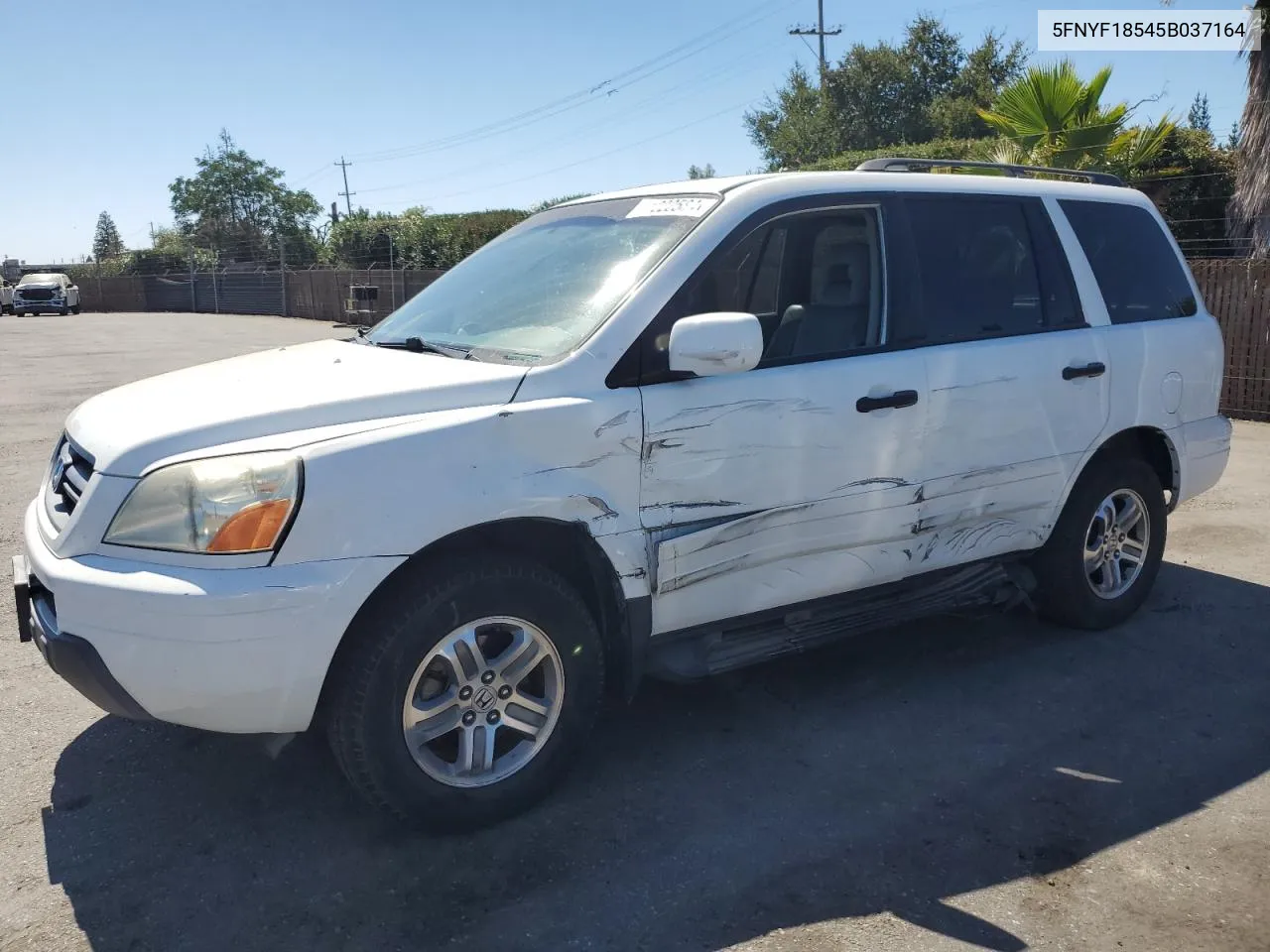 2005 Honda Pilot Exl VIN: 5FNYF18545B037164 Lot: 71222584