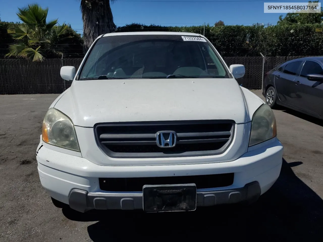 2005 Honda Pilot Exl VIN: 5FNYF18545B037164 Lot: 71222584