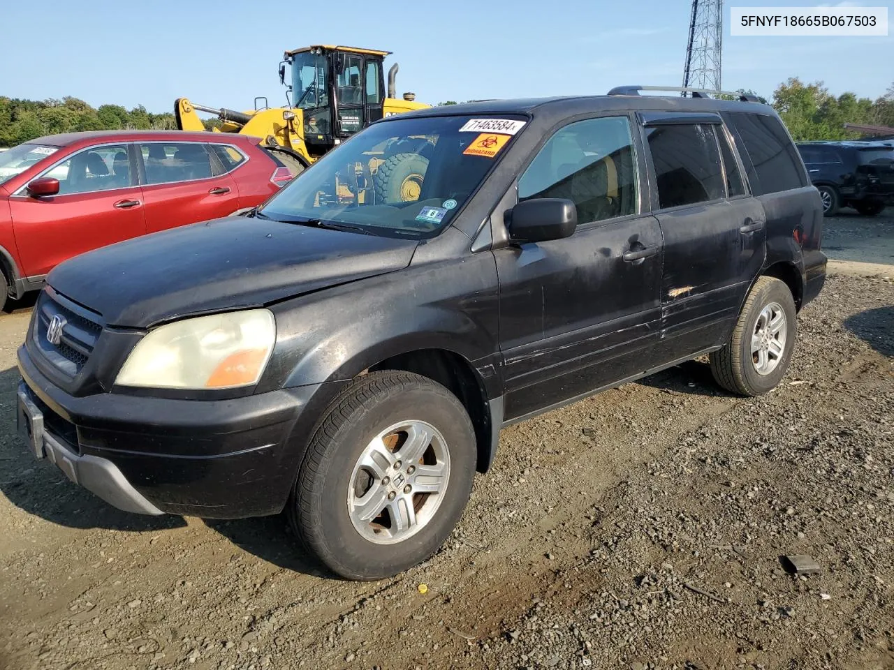 2005 Honda Pilot Exl VIN: 5FNYF18665B067503 Lot: 71463584