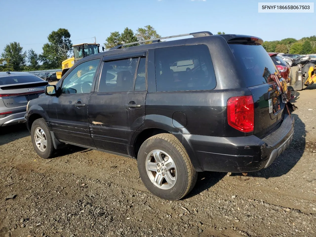 2005 Honda Pilot Exl VIN: 5FNYF18665B067503 Lot: 71463584