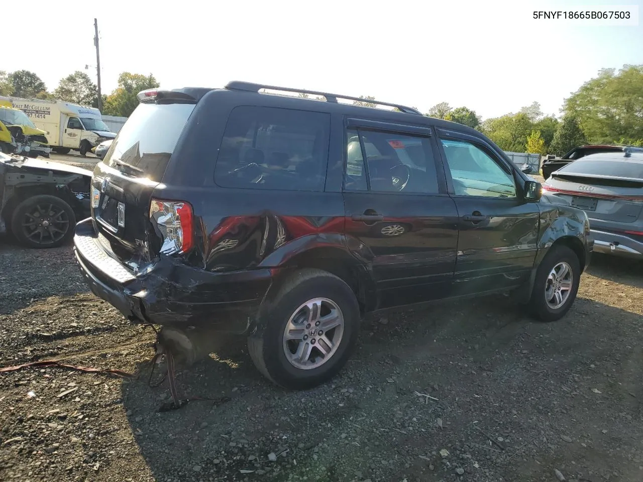 2005 Honda Pilot Exl VIN: 5FNYF18665B067503 Lot: 71463584