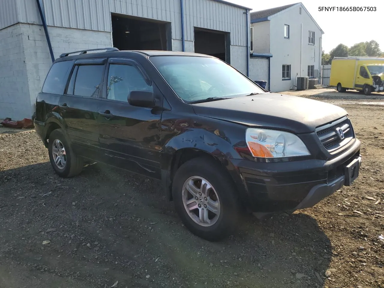 2005 Honda Pilot Exl VIN: 5FNYF18665B067503 Lot: 71463584