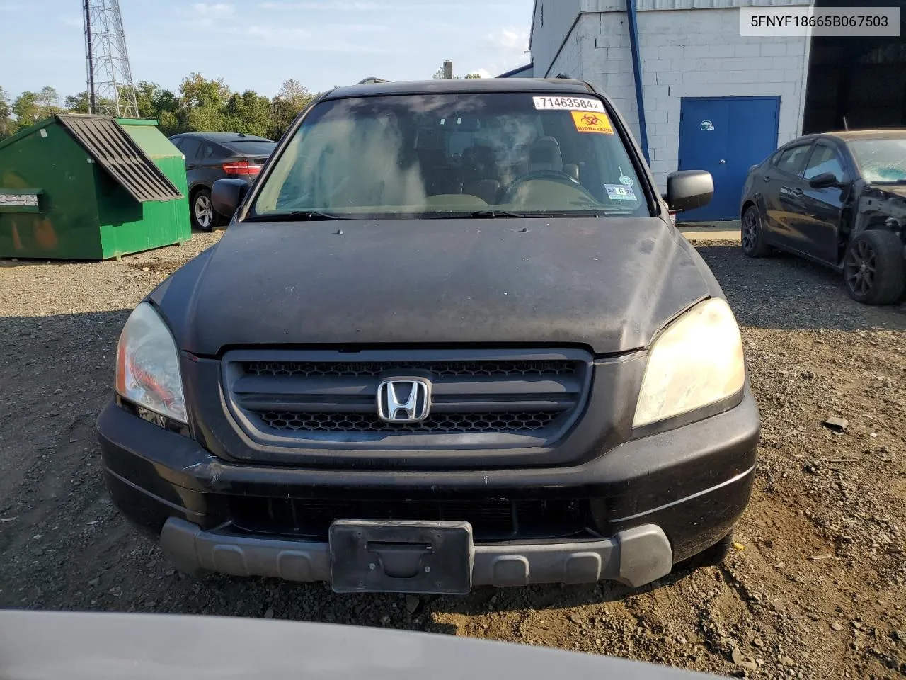 2005 Honda Pilot Exl VIN: 5FNYF18665B067503 Lot: 71463584