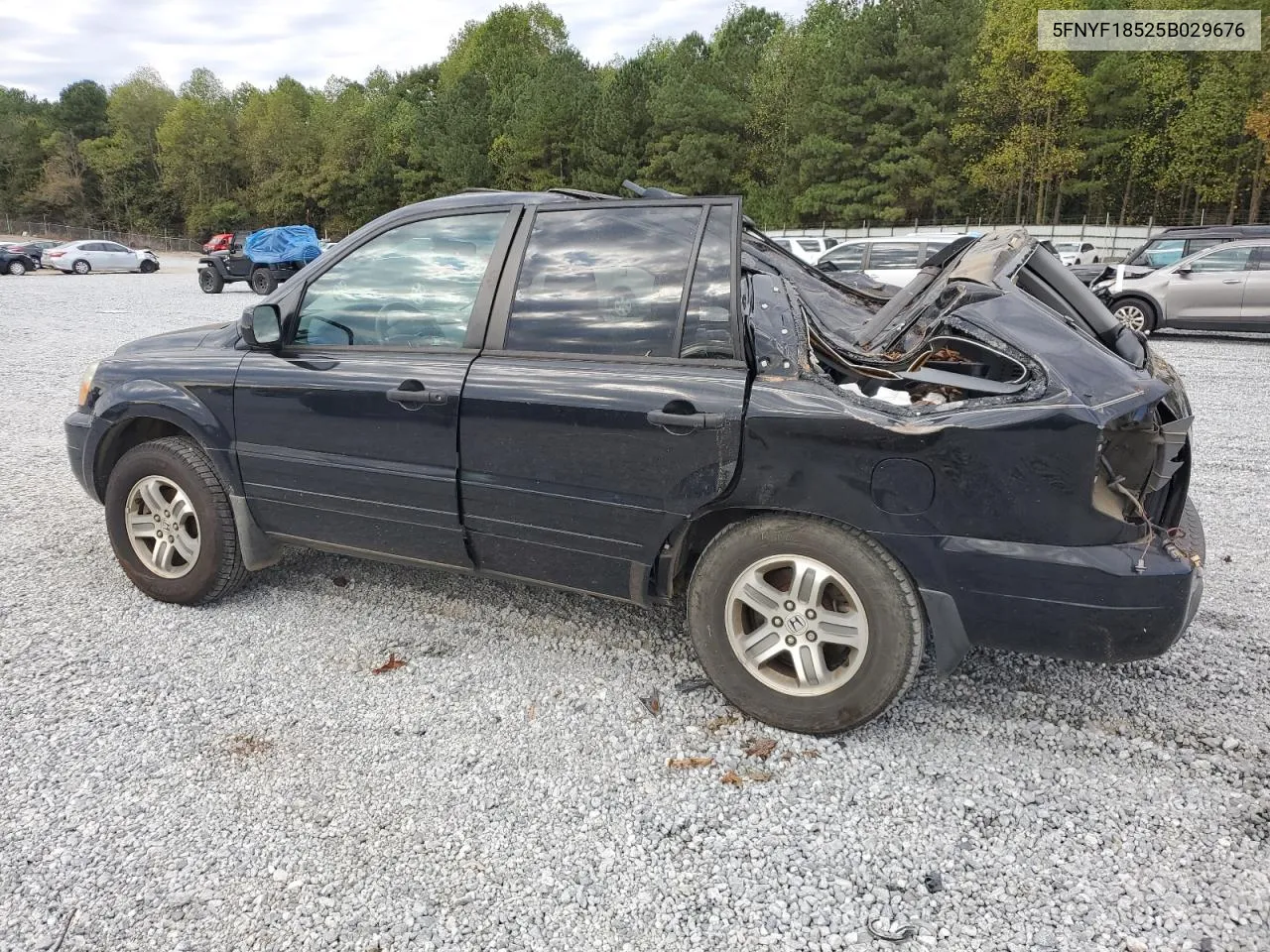 2005 Honda Pilot Exl VIN: 5FNYF18525B029676 Lot: 74369314