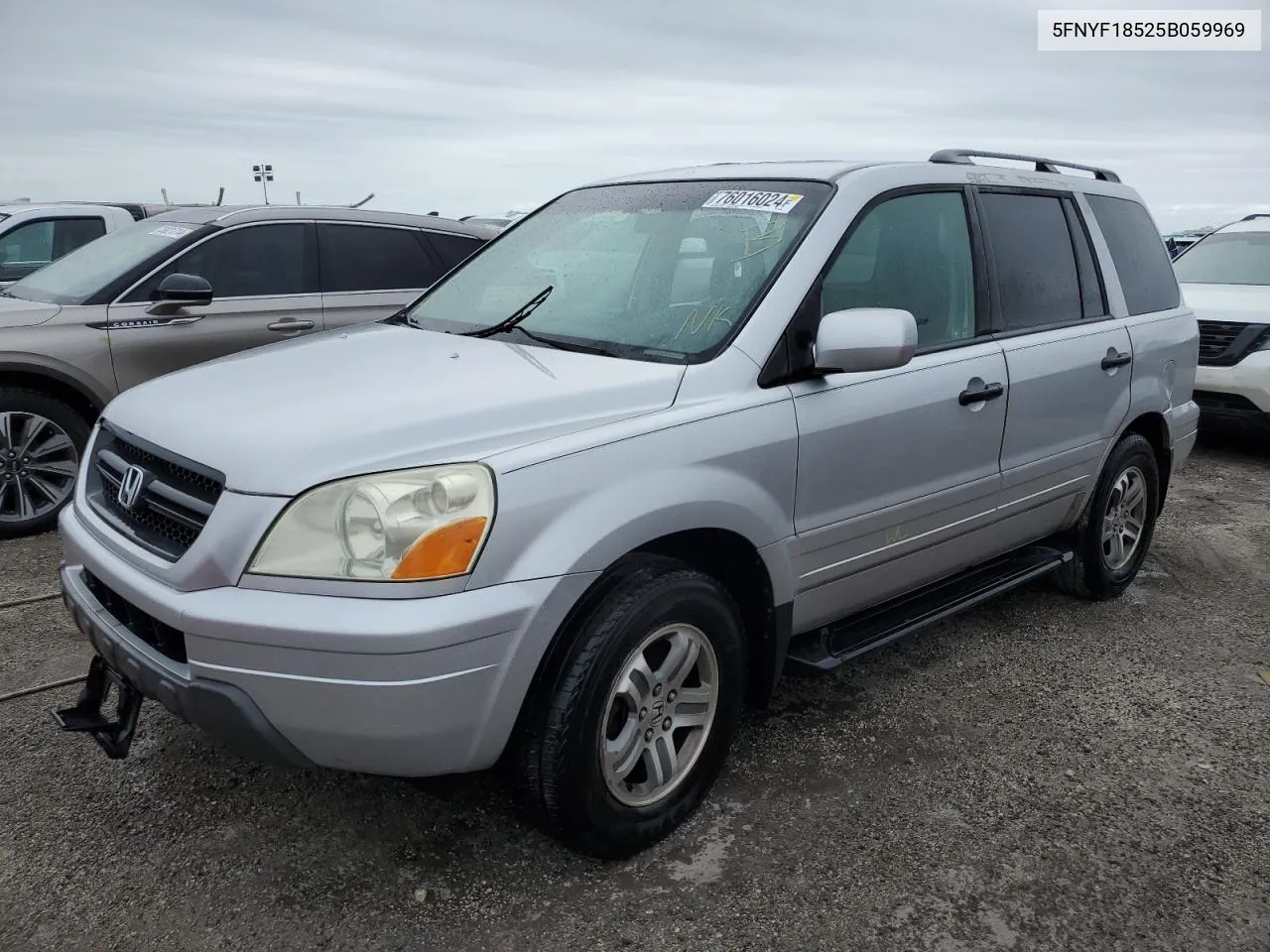 2005 Honda Pilot Exl VIN: 5FNYF18525B059969 Lot: 76016024