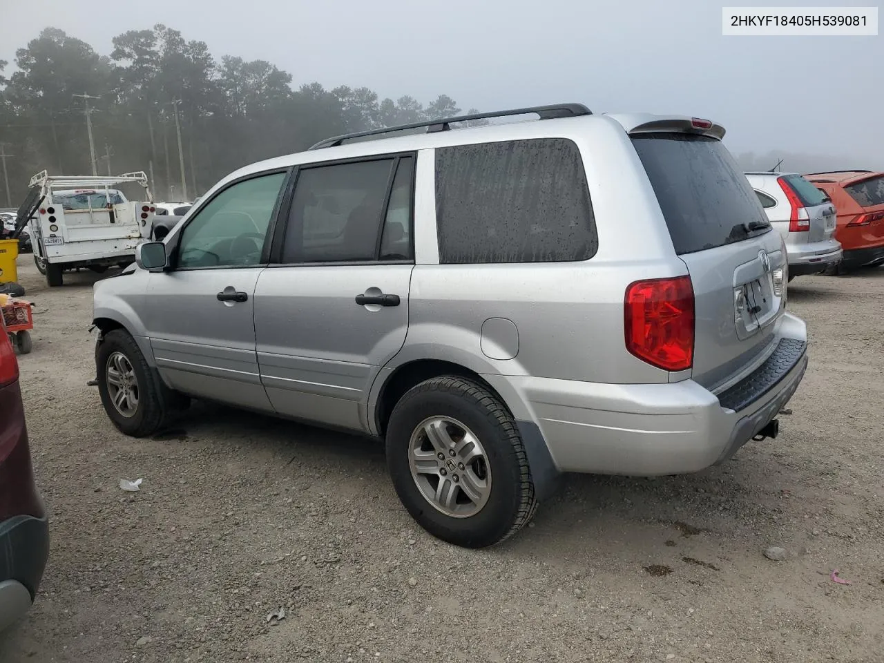 2005 Honda Pilot Ex VIN: 2HKYF18405H539081 Lot: 78102644