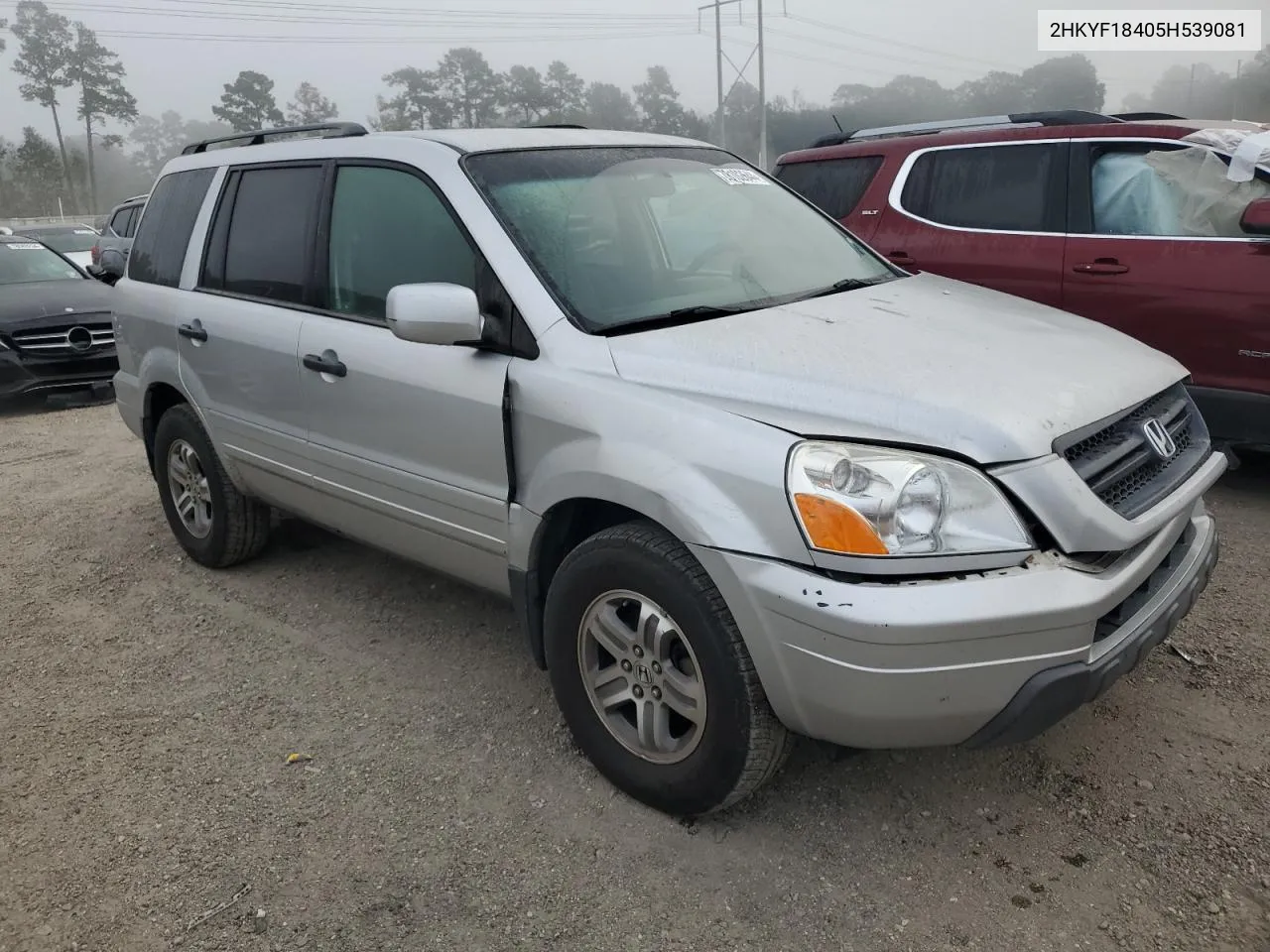 2005 Honda Pilot Ex VIN: 2HKYF18405H539081 Lot: 78102644