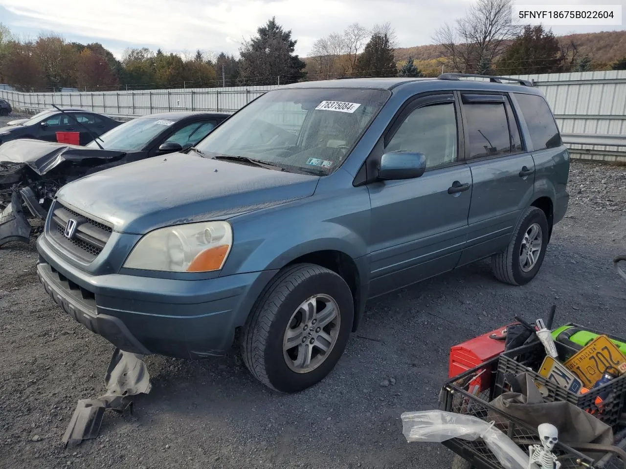 2005 Honda Pilot Exl VIN: 5FNYF18675B022604 Lot: 78375084