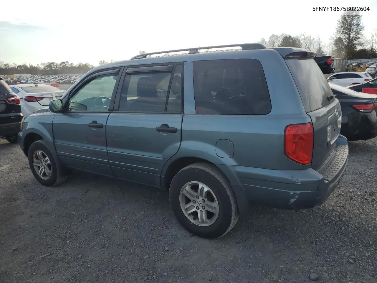 2005 Honda Pilot Exl VIN: 5FNYF18675B022604 Lot: 78375084