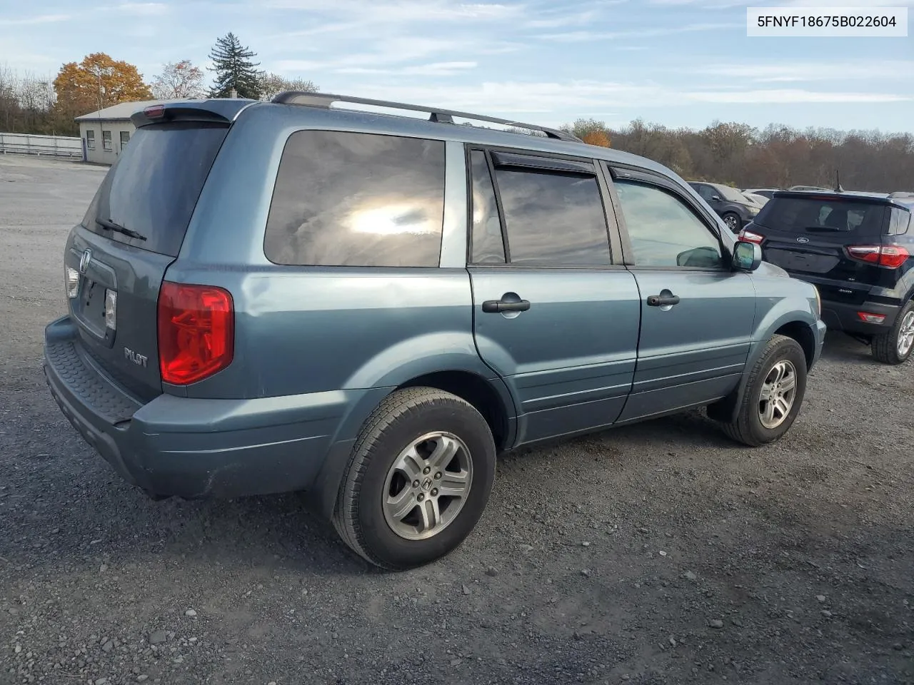 2005 Honda Pilot Exl VIN: 5FNYF18675B022604 Lot: 78375084