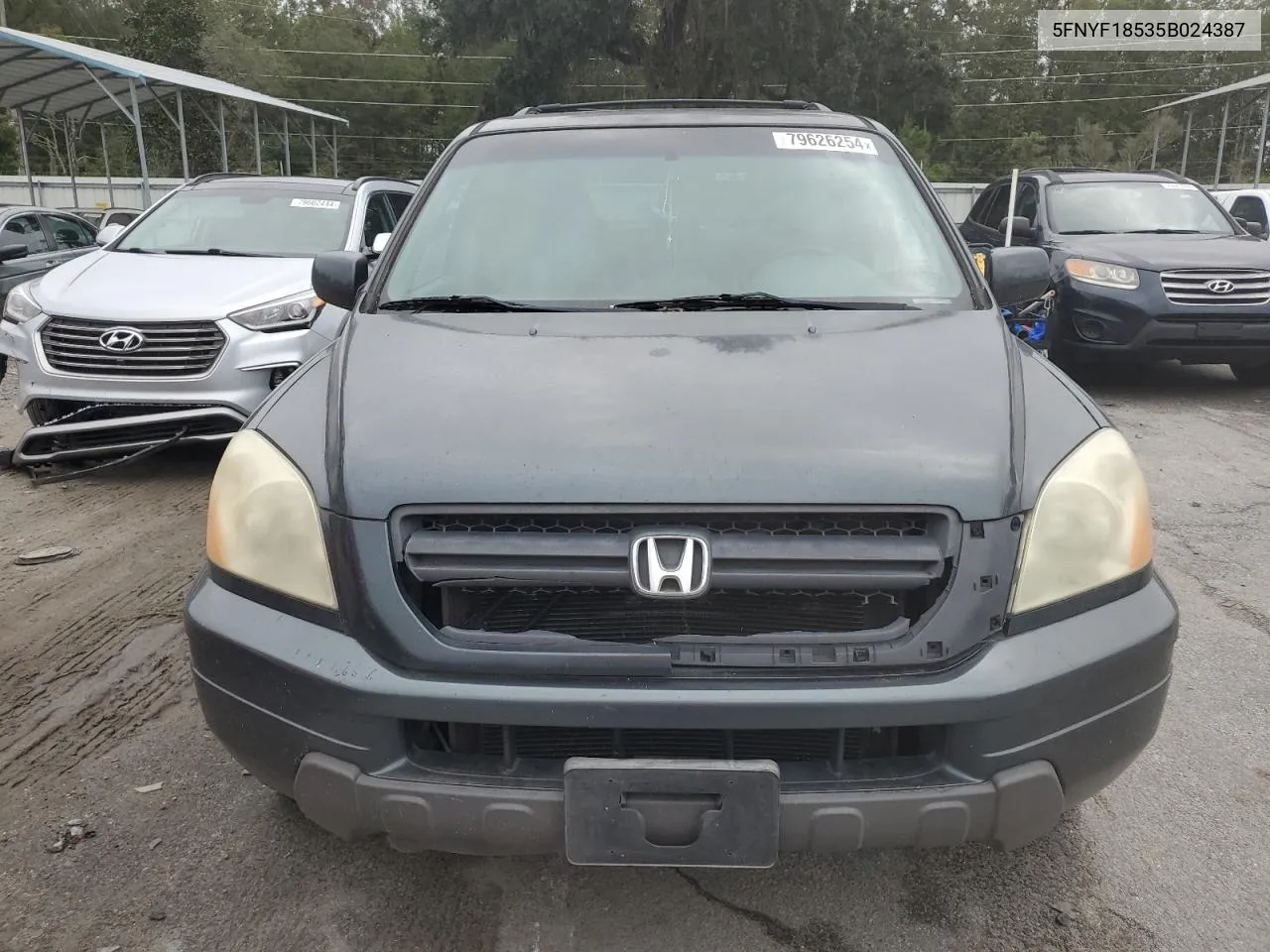 2005 Honda Pilot Exl VIN: 5FNYF18535B024387 Lot: 79626254