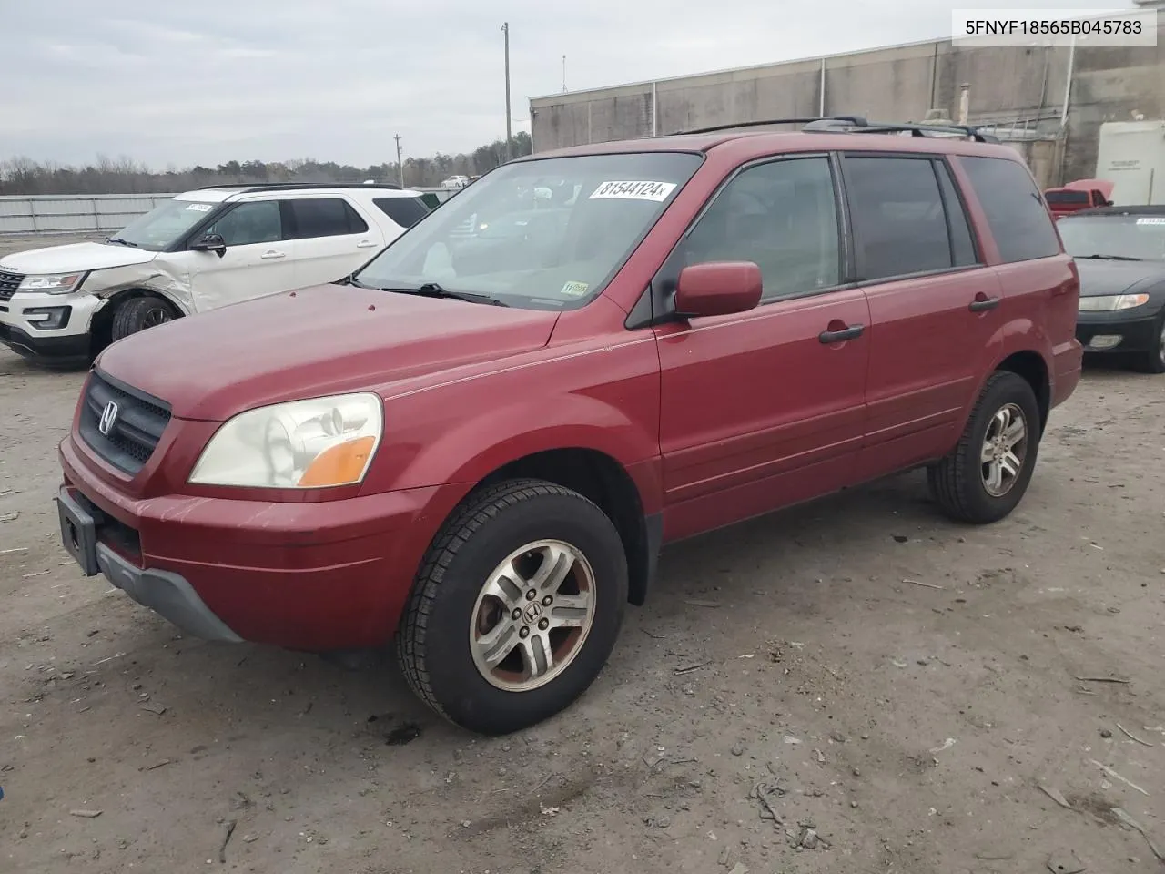 2005 Honda Pilot Exl VIN: 5FNYF18565B045783 Lot: 81544124