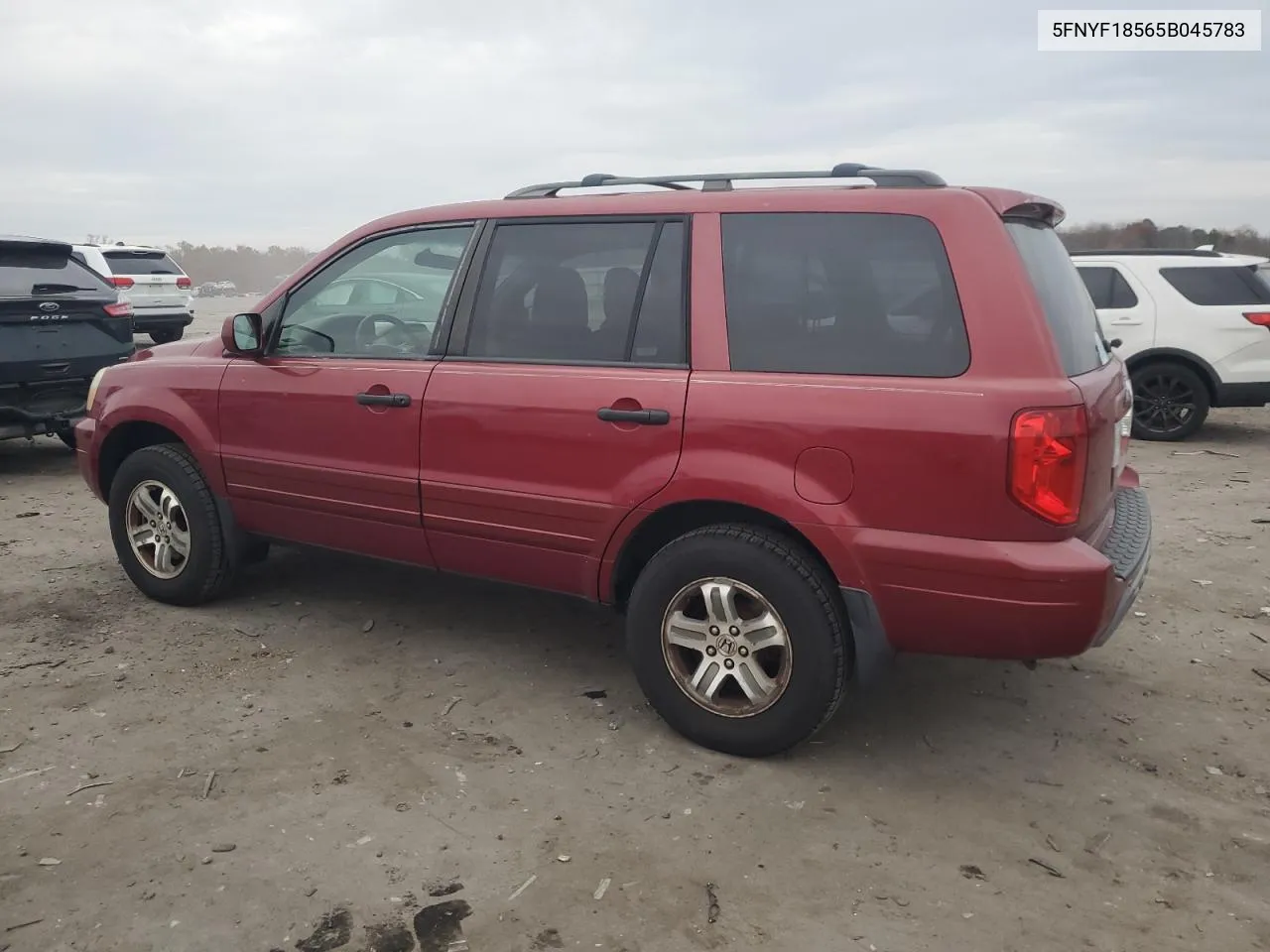 2005 Honda Pilot Exl VIN: 5FNYF18565B045783 Lot: 81544124