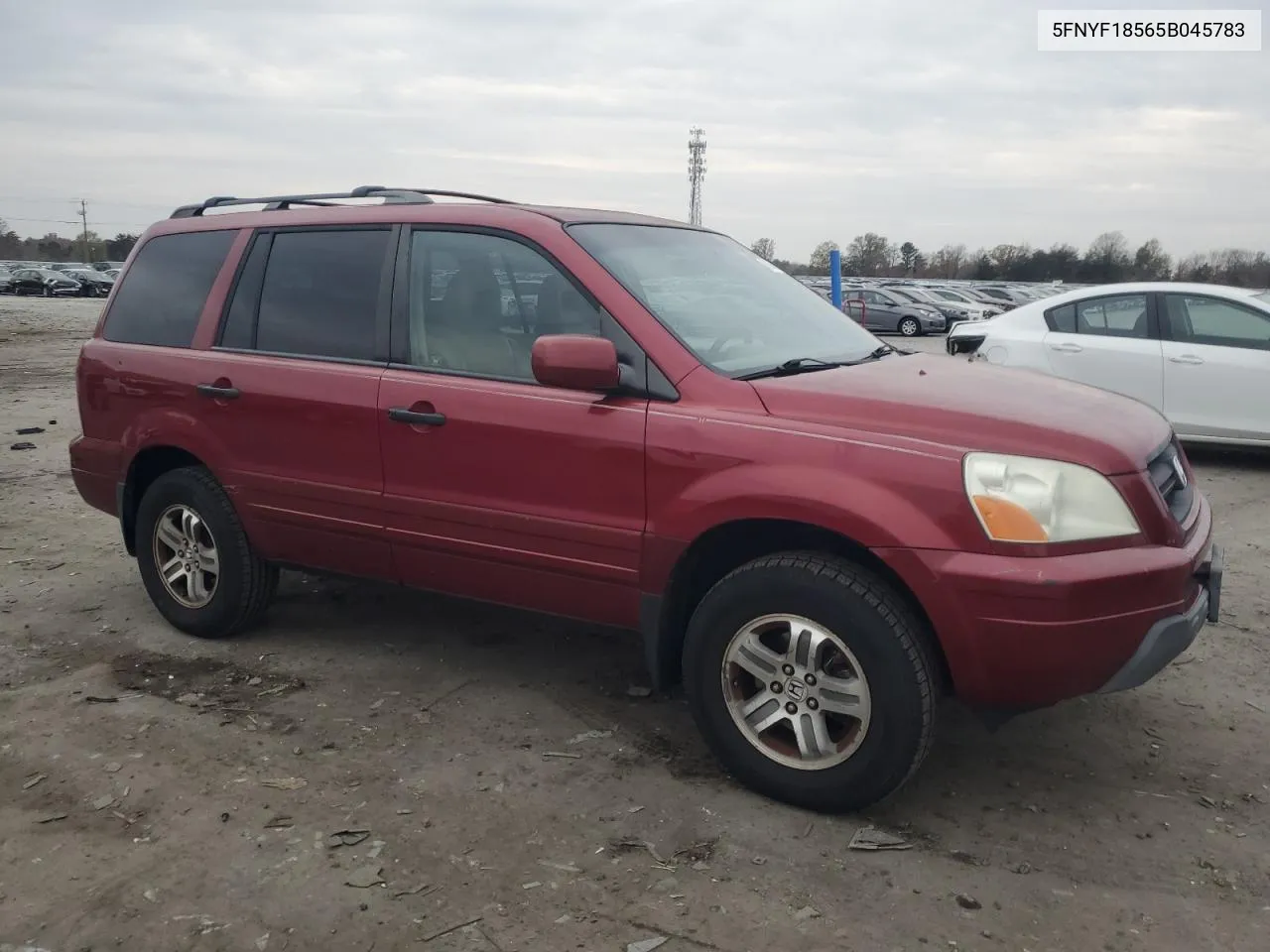 2005 Honda Pilot Exl VIN: 5FNYF18565B045783 Lot: 81544124