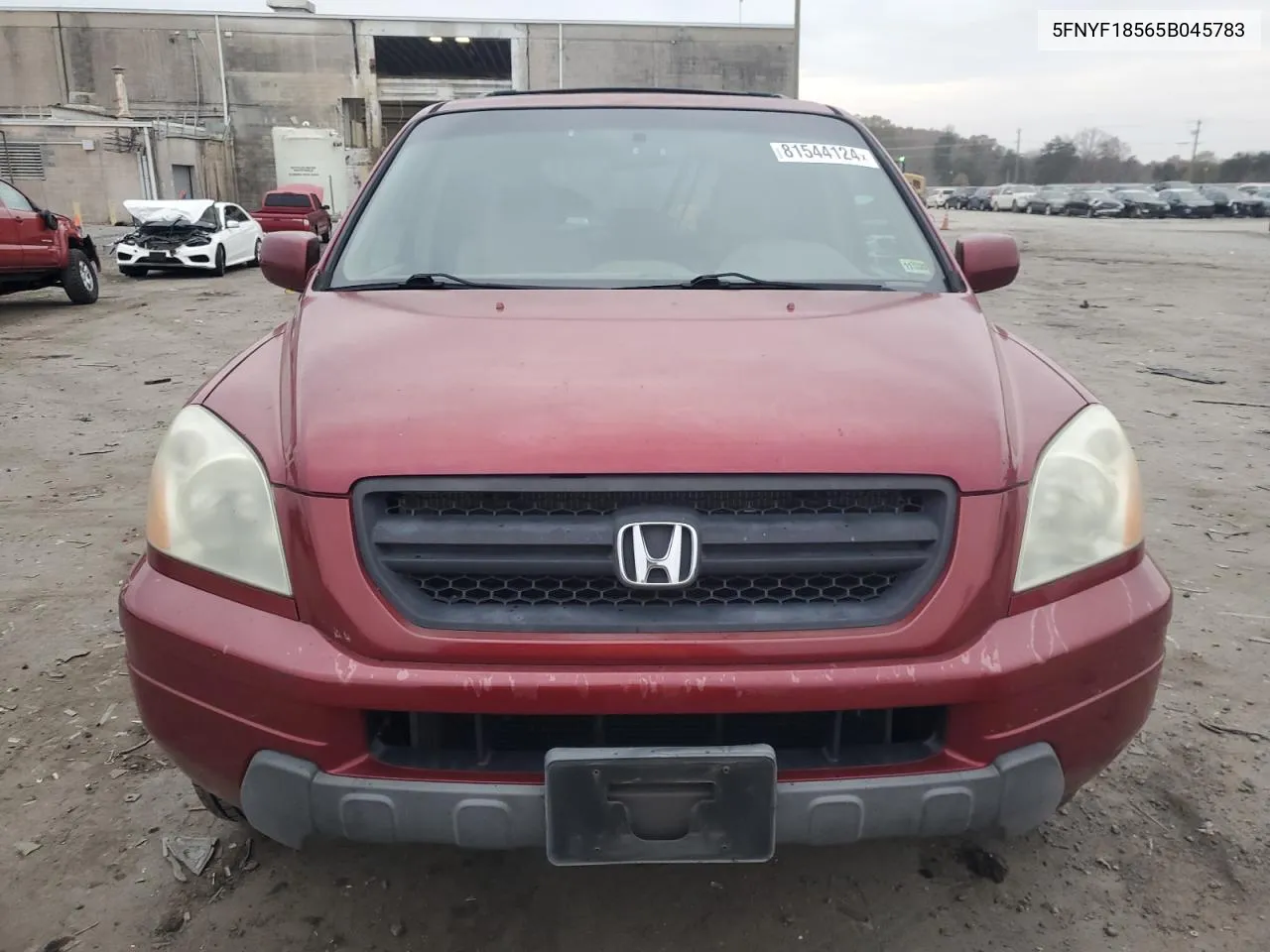 2005 Honda Pilot Exl VIN: 5FNYF18565B045783 Lot: 81544124