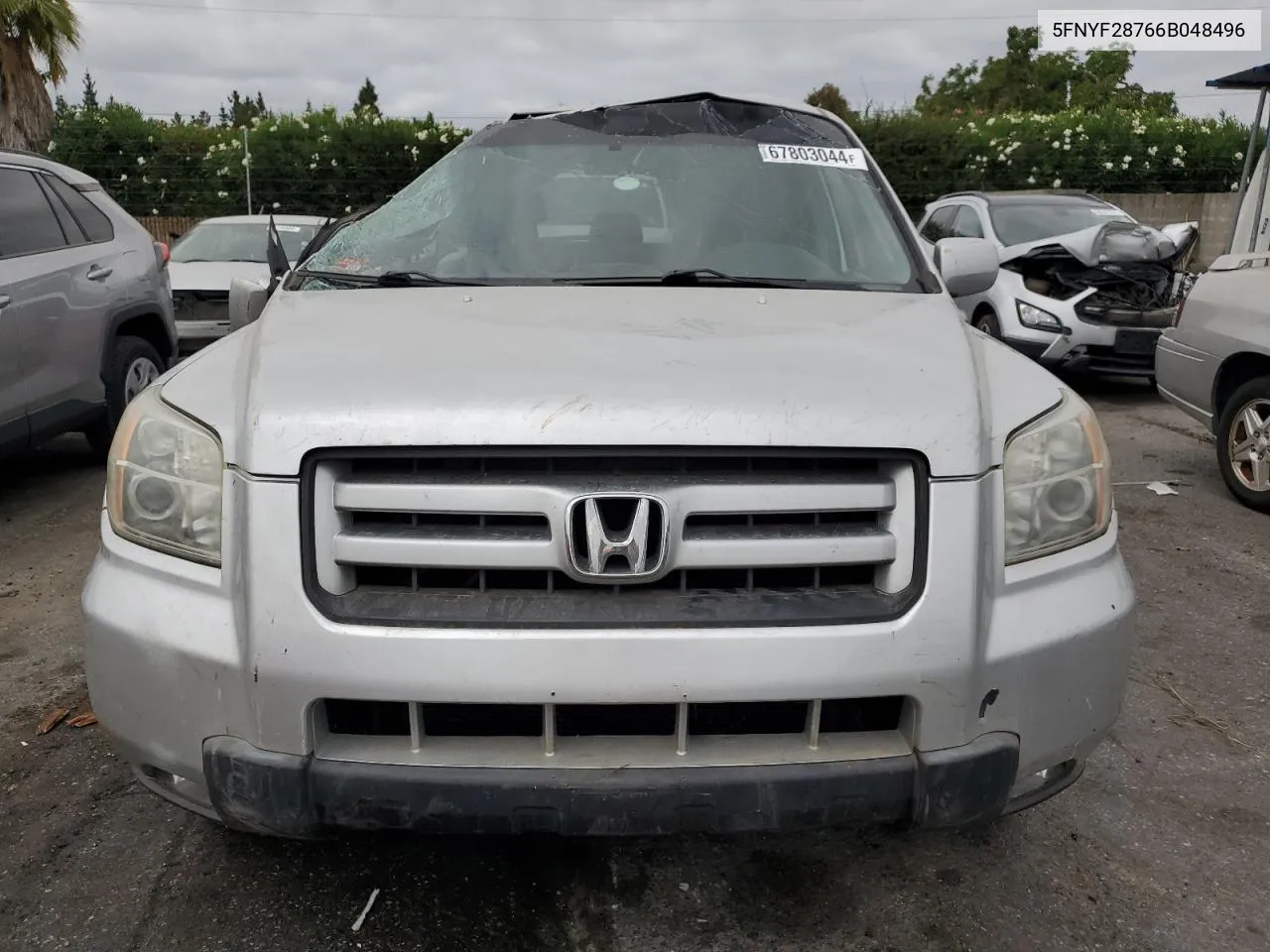 2006 Honda Pilot Ex VIN: 5FNYF28766B048496 Lot: 67803044