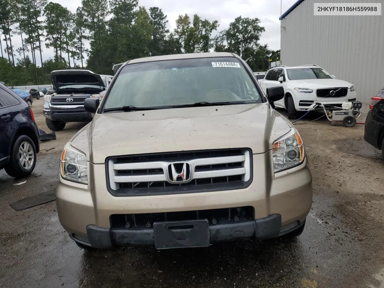 2006 Honda Pilot Lx VIN: 2HKYF18186H559988 Lot: 71614484