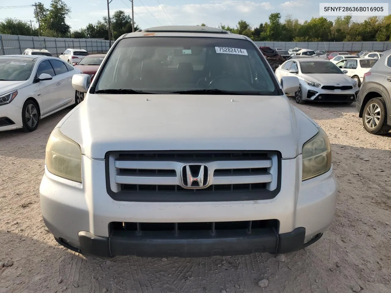 2006 Honda Pilot Ex VIN: 5FNYF28636B016905 Lot: 75282414