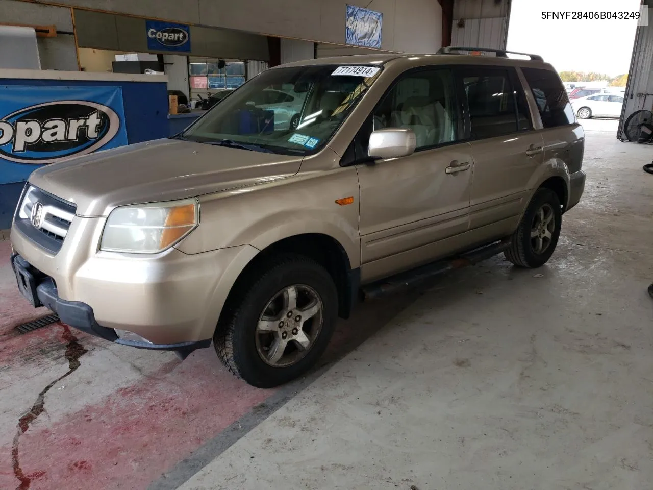 2006 Honda Pilot Ex VIN: 5FNYF28406B043249 Lot: 77174914