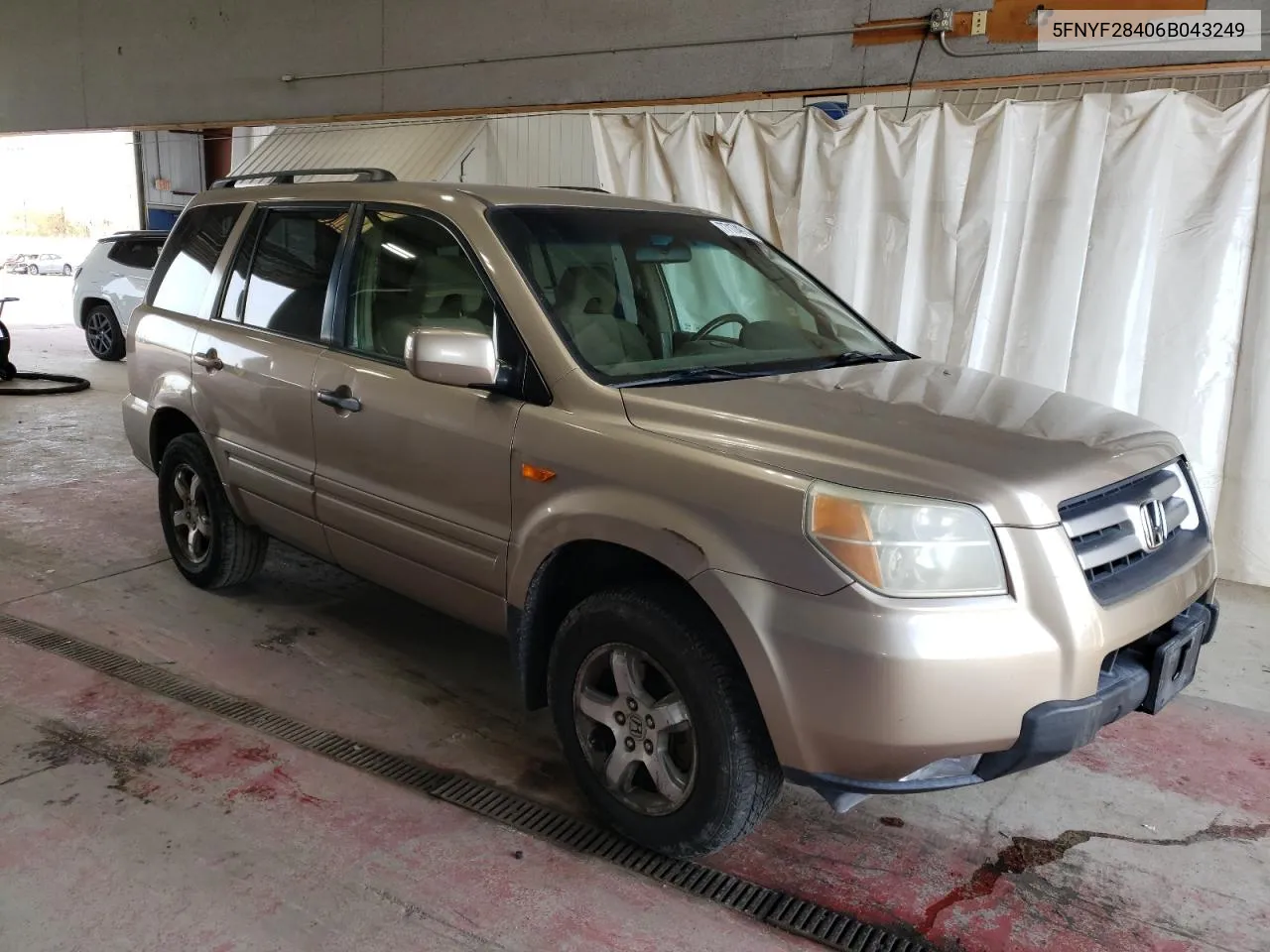 2006 Honda Pilot Ex VIN: 5FNYF28406B043249 Lot: 77174914