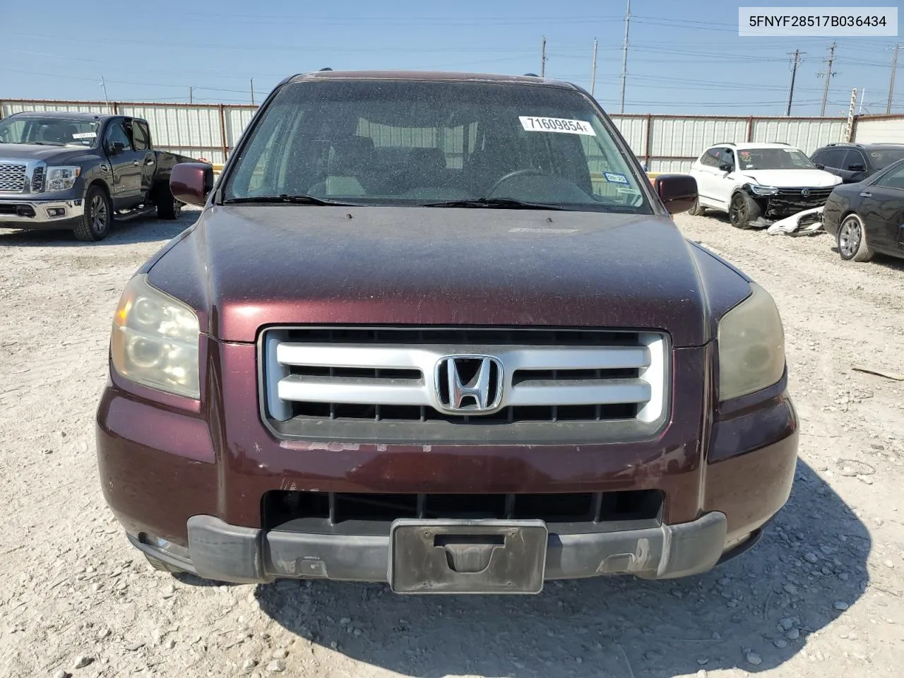 2007 Honda Pilot Exl VIN: 5FNYF28517B036434 Lot: 71609854