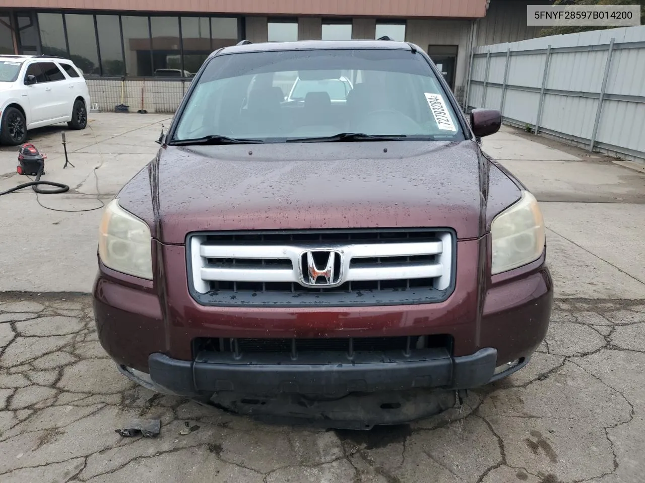 2007 Honda Pilot Exl VIN: 5FNYF28597B014200 Lot: 72793284