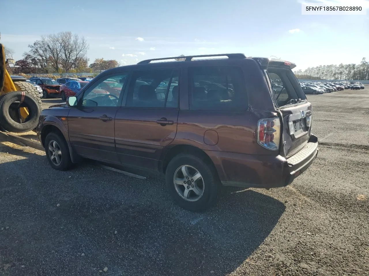 2007 Honda Pilot Exl VIN: 5FNYF18567B028890 Lot: 76843044