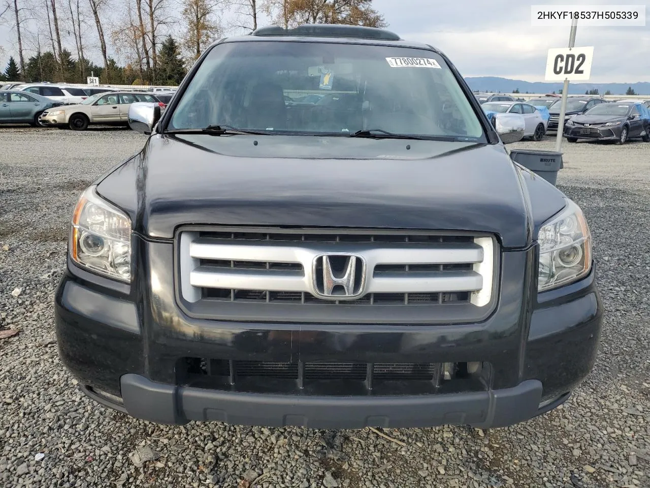 2007 Honda Pilot Exl VIN: 2HKYF18537H505339 Lot: 77800274