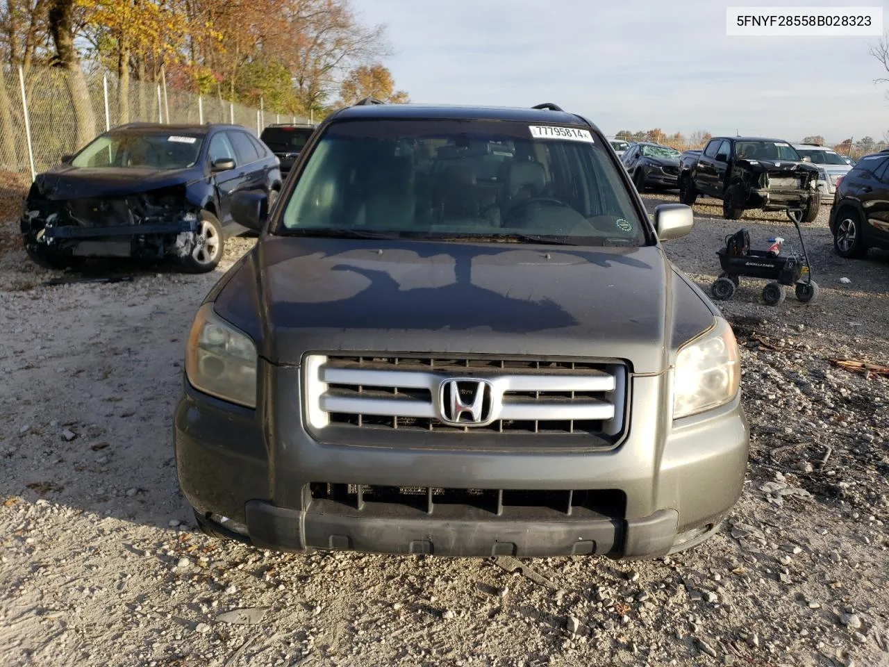 2008 Honda Pilot Exl VIN: 5FNYF28558B028323 Lot: 77795814