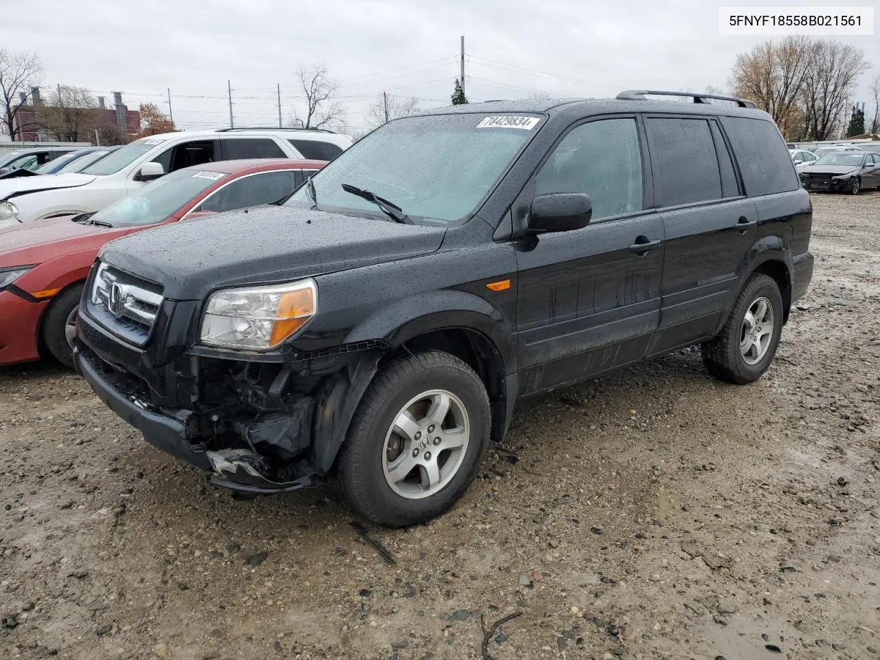 2008 Honda Pilot Exl VIN: 5FNYF18558B021561 Lot: 78429834