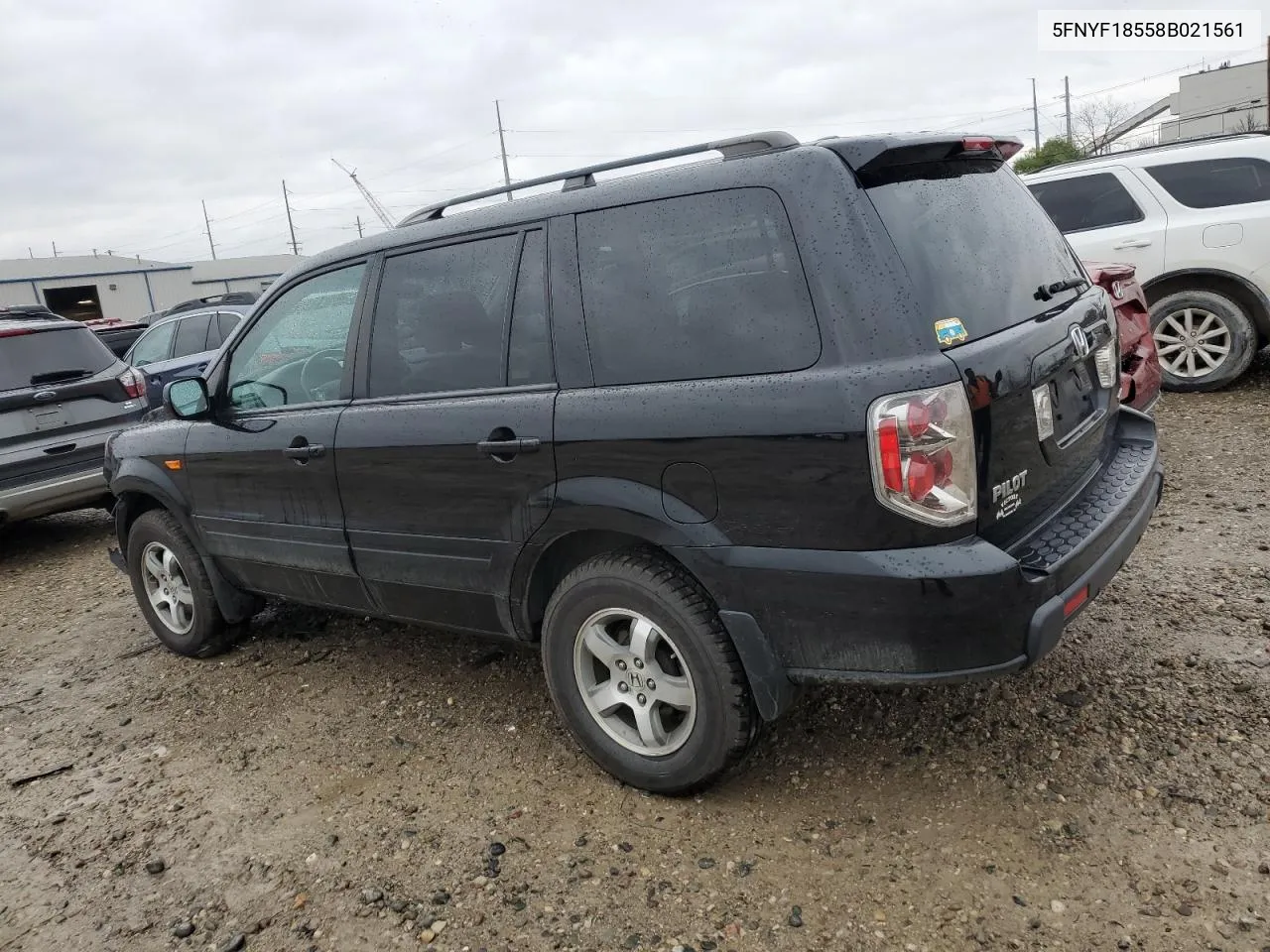 2008 Honda Pilot Exl VIN: 5FNYF18558B021561 Lot: 78429834