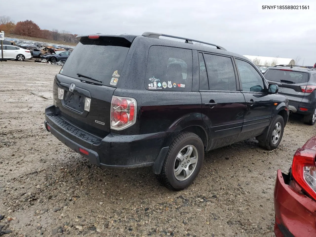 2008 Honda Pilot Exl VIN: 5FNYF18558B021561 Lot: 78429834