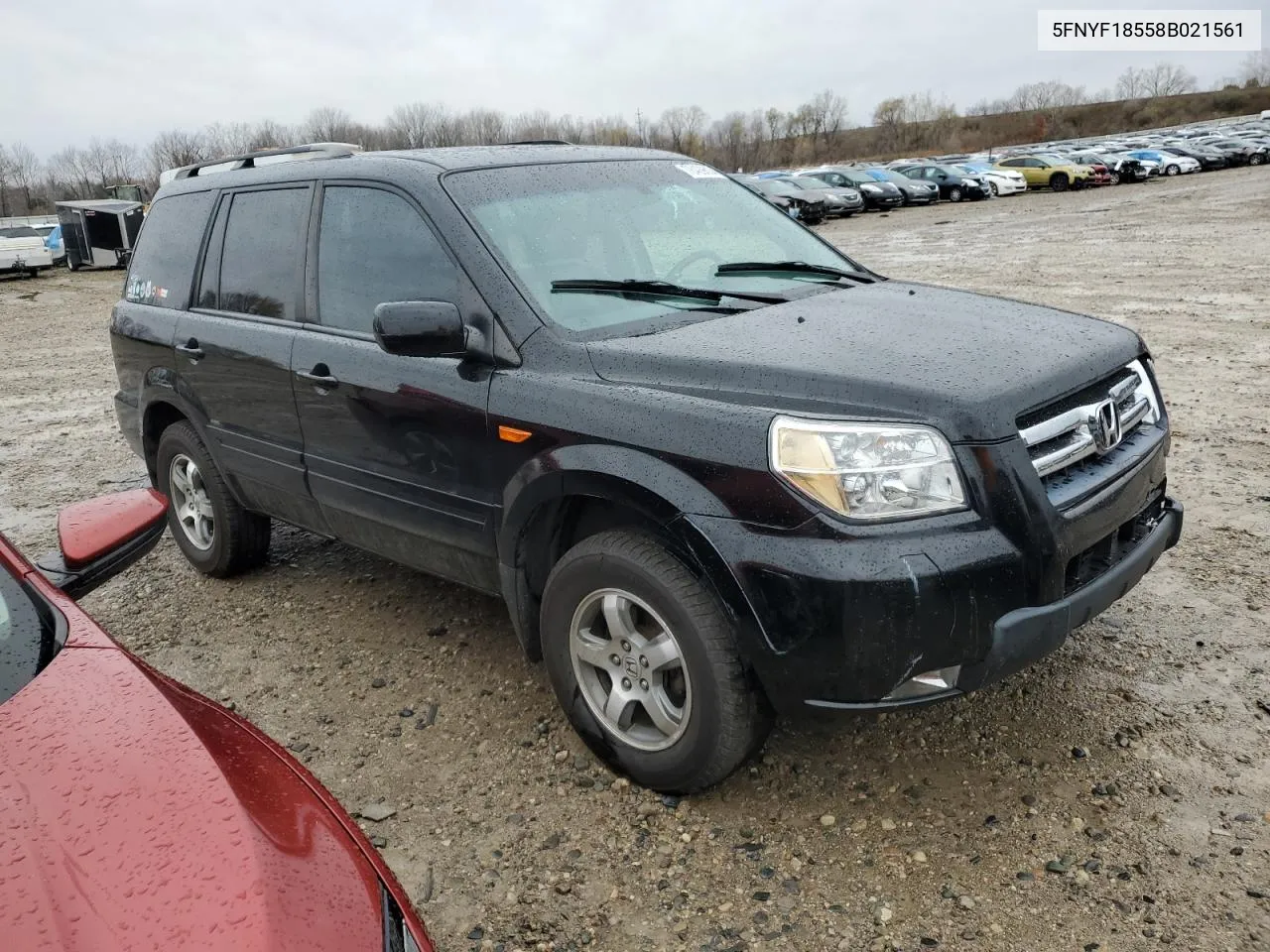 2008 Honda Pilot Exl VIN: 5FNYF18558B021561 Lot: 78429834