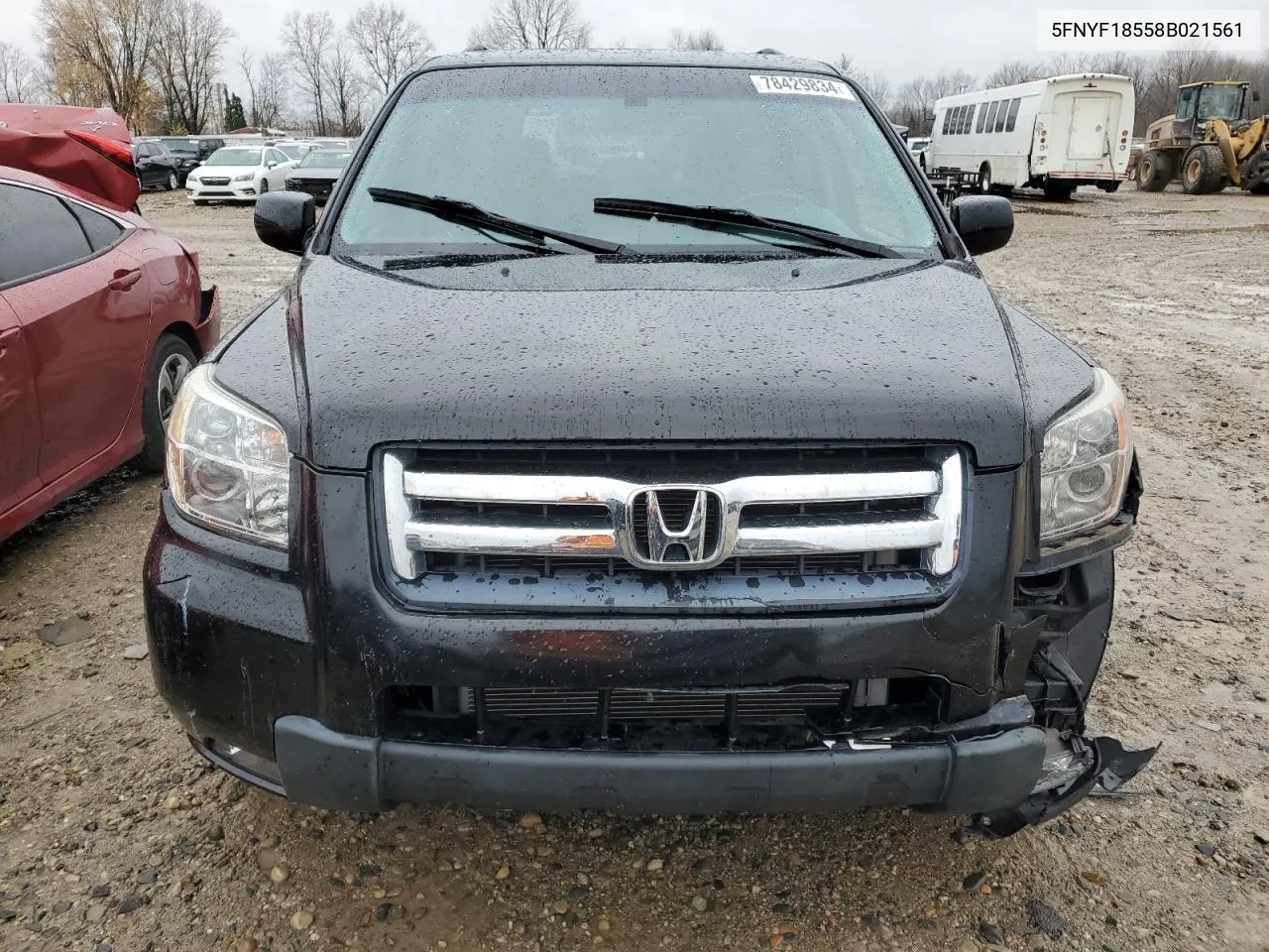 2008 Honda Pilot Exl VIN: 5FNYF18558B021561 Lot: 78429834