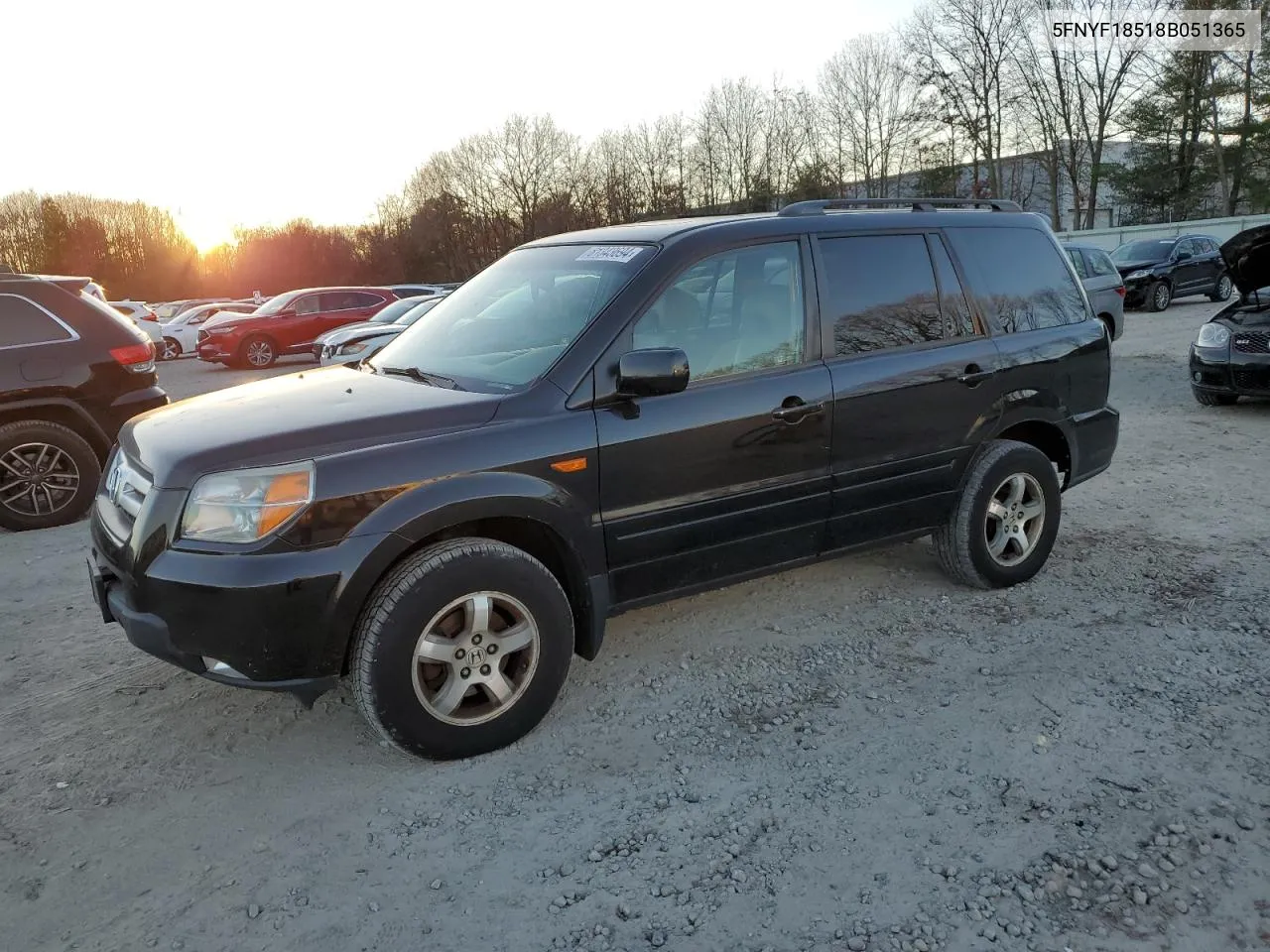 2008 Honda Pilot Exl VIN: 5FNYF18518B051365 Lot: 81343694