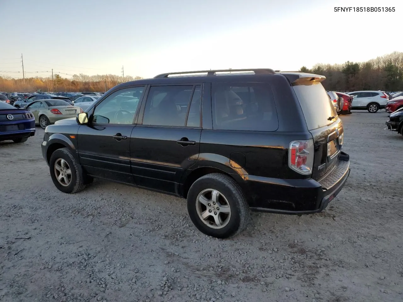 2008 Honda Pilot Exl VIN: 5FNYF18518B051365 Lot: 81343694