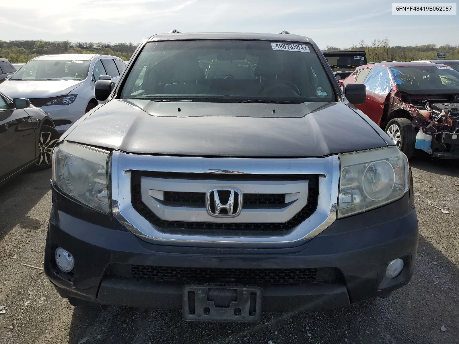 2009 Honda Pilot Ex VIN: 5FNYF48419B052087 Lot: 49873384